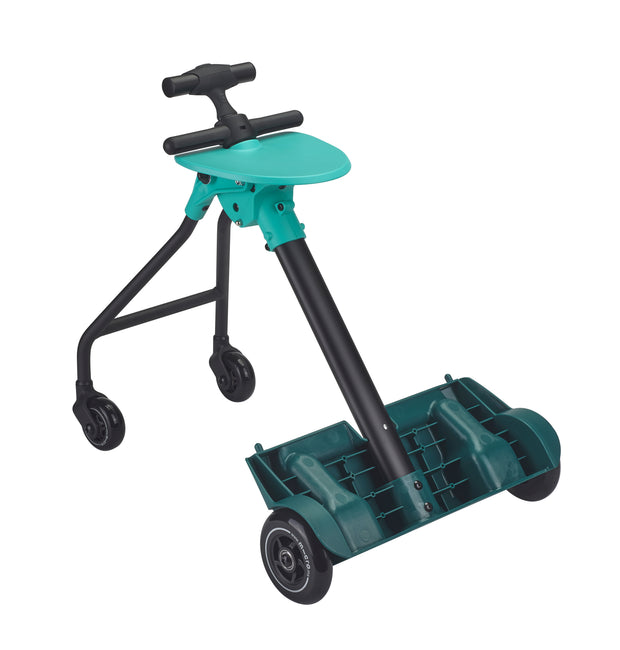 Frame with Seat Complete without Luggage